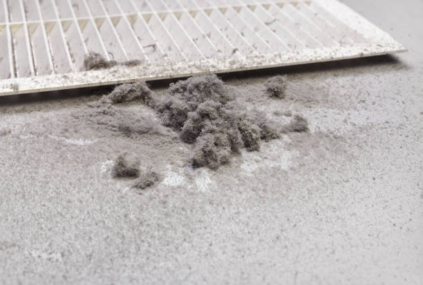 Best Air Duct Cleaning Near Me  in Slater, MO