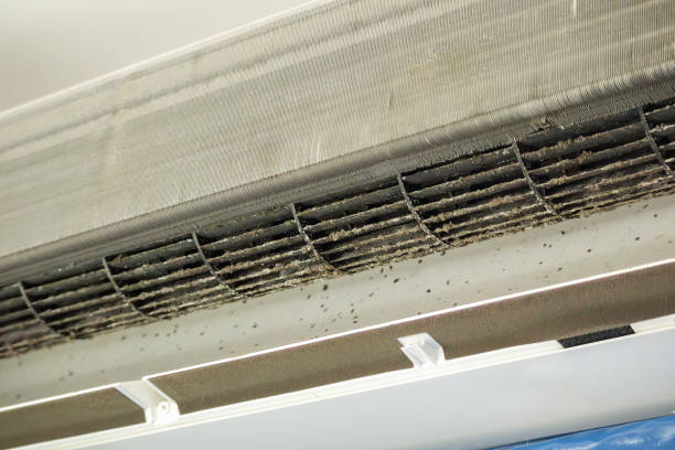 Best Affordable Duct Cleaning Services  in Slater, MO